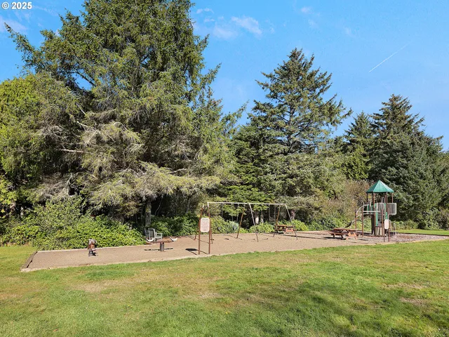 a view of a park with large trees
