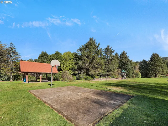 a view of a park with large trees