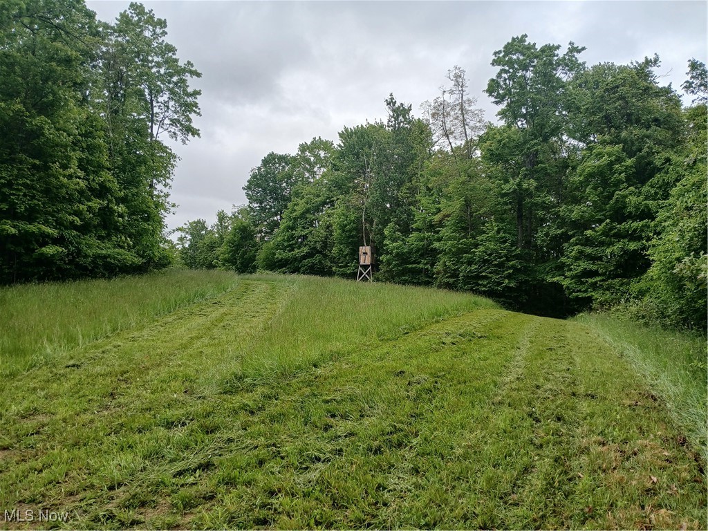 85200 Merryman Road Cadiz, OH 43907 - Photo 49 of 50 Gallery Image 49