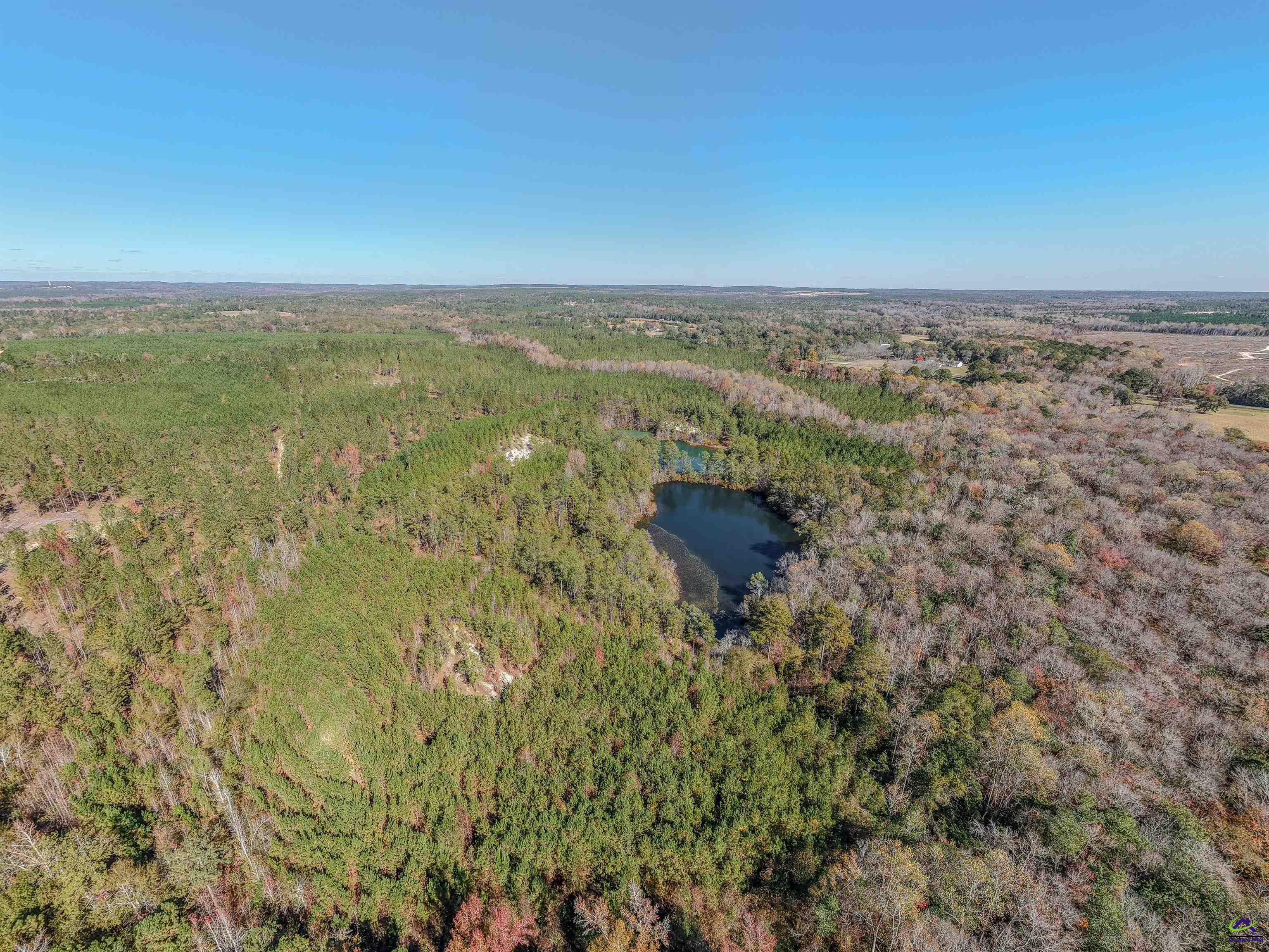 1446 Avera Road Roberta, GA 31078 - Photo 26 of 33
