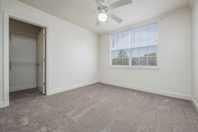 a bathroom with a shower curtain