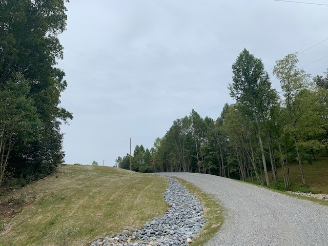 0 Fisher Road Primm Springs, TN 38476 - Photo 1 of 9 Gallery Image 1