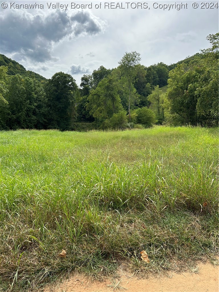 40 Sherwin Road Charleston, WV 25311 - Photo 12 of 19 Gallery Image 12