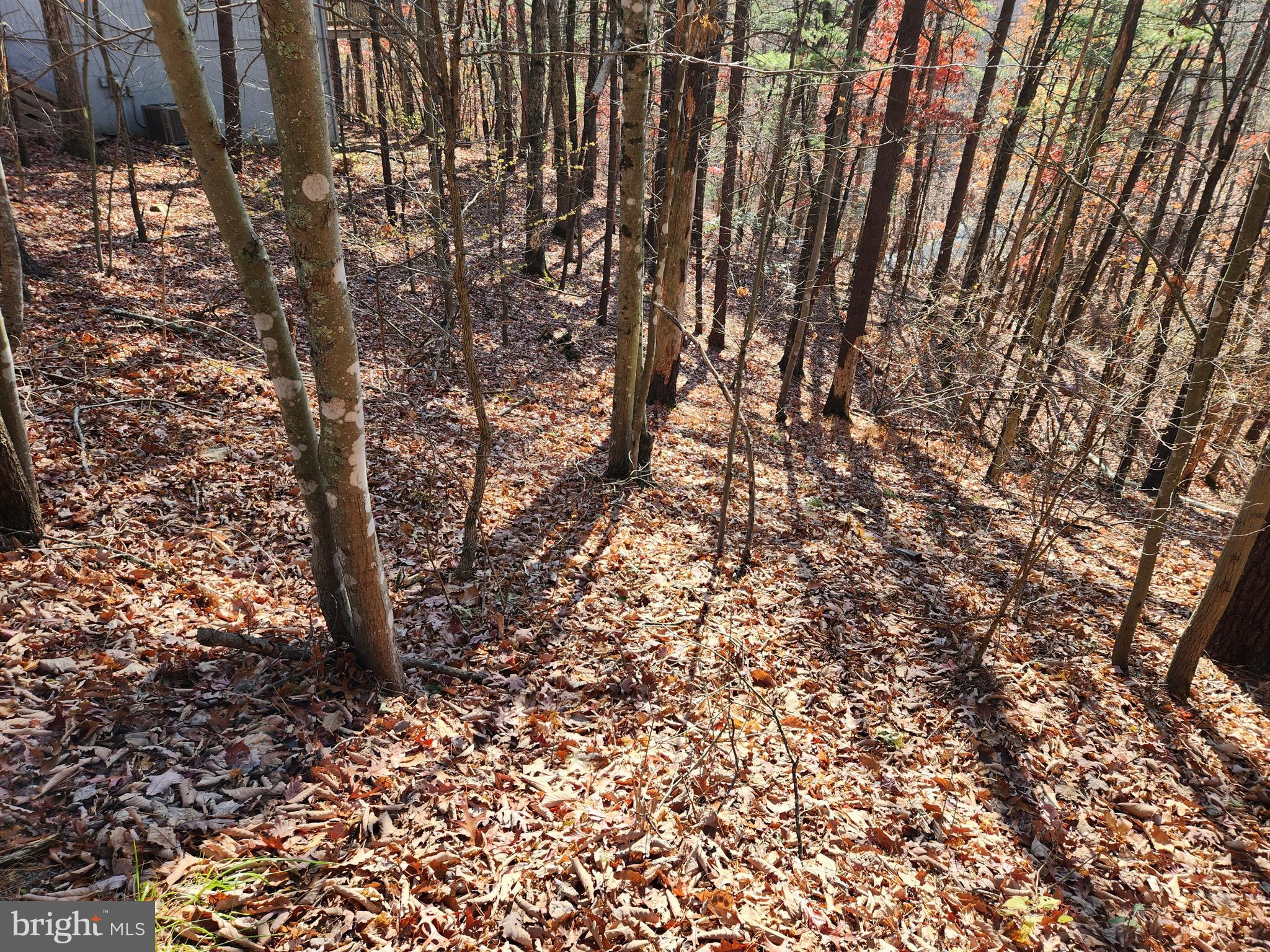Braggs Cove Rd Road Basye, VA 22810 - Photo 1 of 1 Gallery Image 1