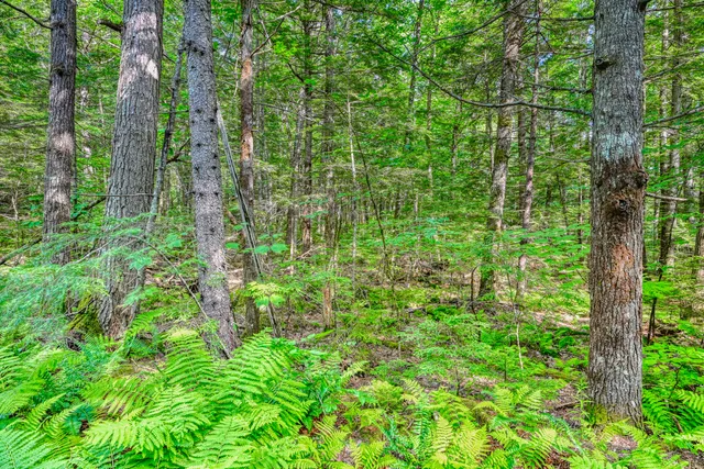 $199,900 | Lot 39 Tims Cove Road, Willimantic, ME 04443