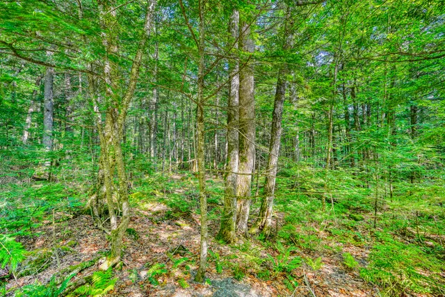 $199,900 | Lot 39 Tims Cove Road, Willimantic, ME 04443