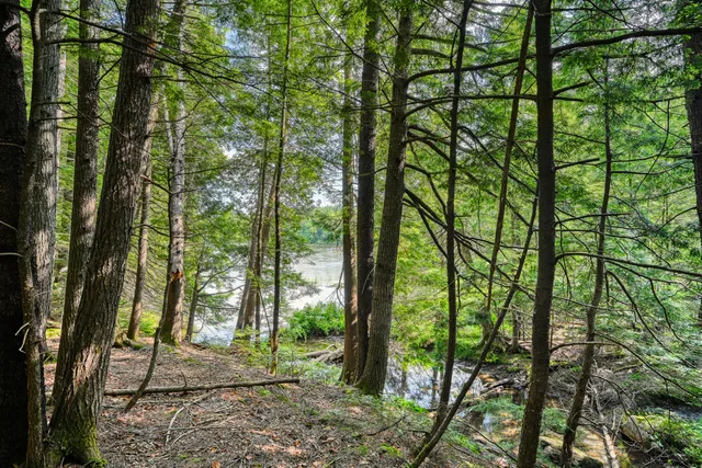$199,900 | Lot 39 Tims Cove Road, Willimantic, ME 04443