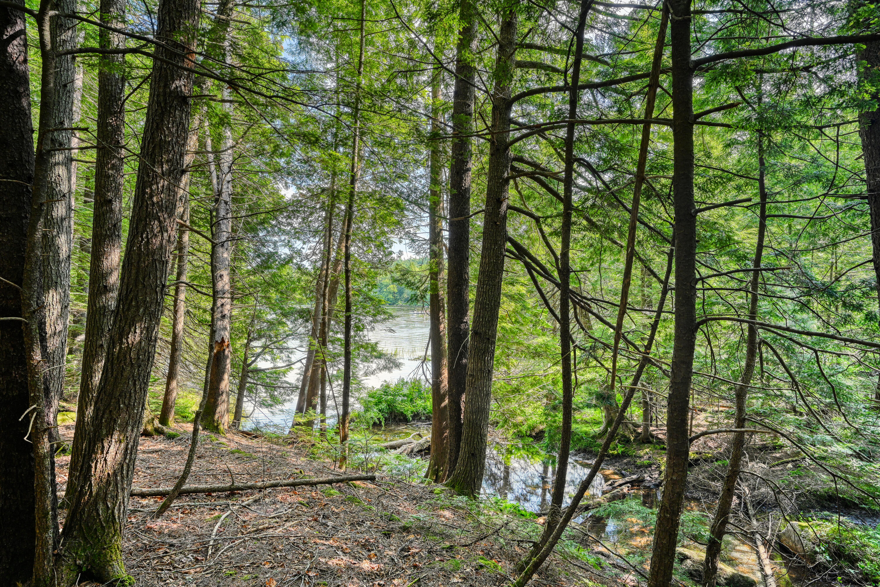 Lot 39 Tims Cove Road Willimantic, ME 04443 - Photo 5 of 17 110091gr-103