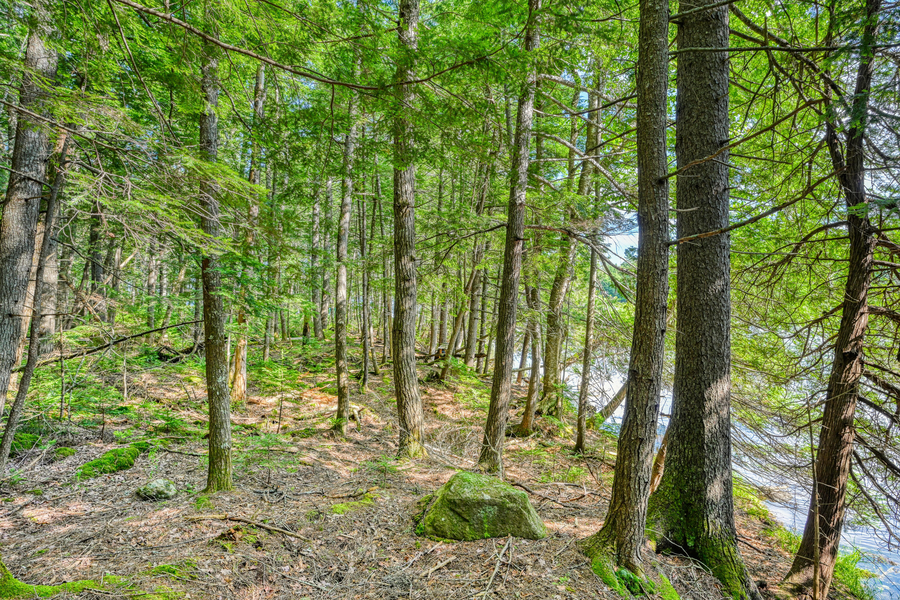 Lot 39 Tims Cove Road Willimantic, ME 04443 - Photo 6 of 17 110091gr-104