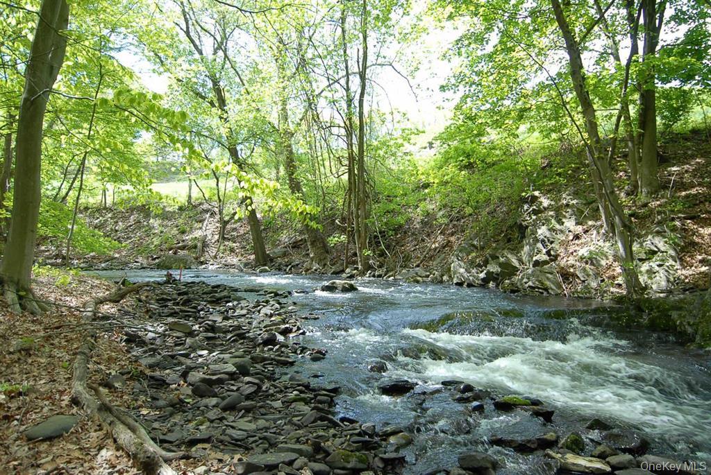 18 Plattekill Road Marlboro, NY 12542 - Photo 5 of 7 View of brook