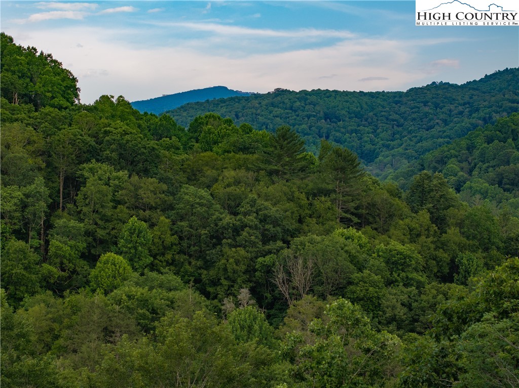 C124 Spring Water Lane Banner Elk, NC 28604 - Photo 1 of 16 a view of a city with lush green forest
