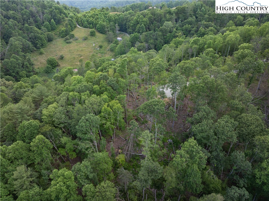 C124 Spring Water Lane Banner Elk, NC 28604 - Photo 12 of 16 an aerial view of residential house with outdoor space and trees all around