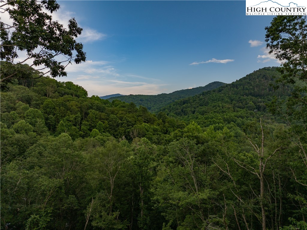 C124 Spring Water Lane Banner Elk, NC 28604 - Photo 3 of 16 a view of a houses with a lush green forest
