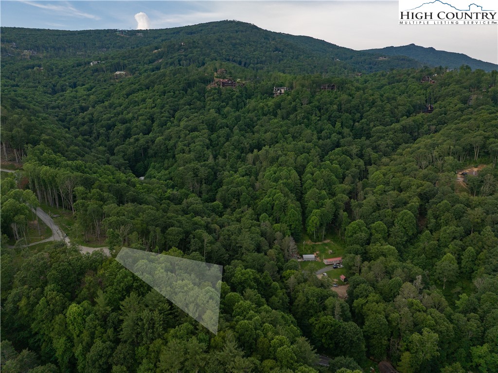 C124 Spring Water Lane Banner Elk, NC 28604 - Photo 7 of 16 a view of a lush green forest with lots of trees
