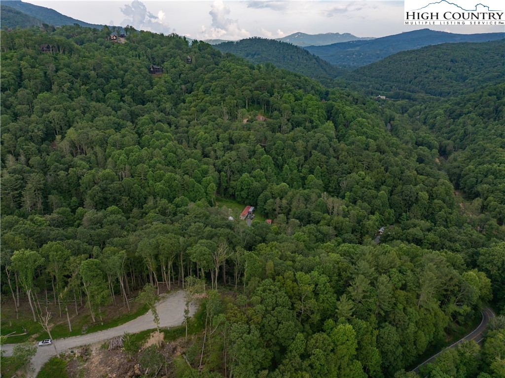 C124 Spring Water Lane Banner Elk, NC 28604 - Photo 8 of 16 a view of a lush green forest with trees and some houses