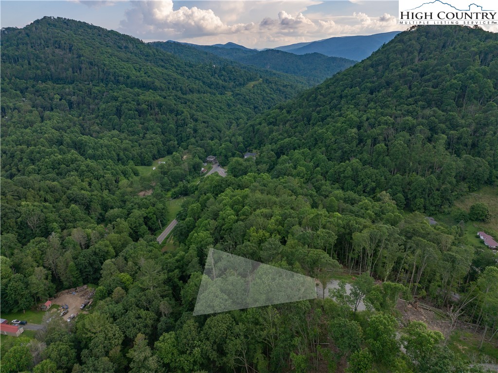 C124 Spring Water Lane Banner Elk, NC 28604 - Photo 10 of 16 a view of a lush green forest with trees in the background