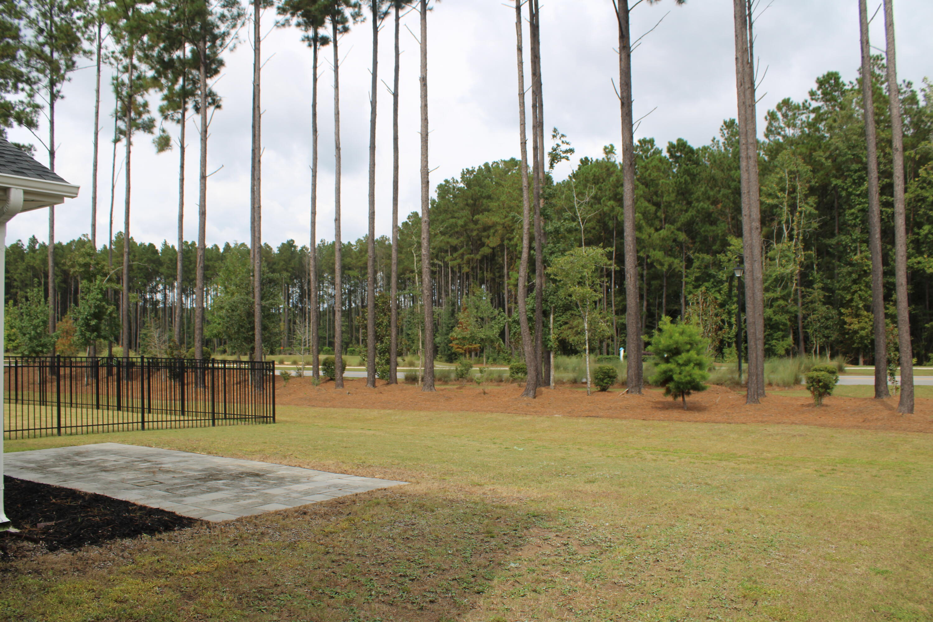 1008 Magnolia Warbler Way Ravenel, SC 29470 - Photo 10 of 33 IMG_1222