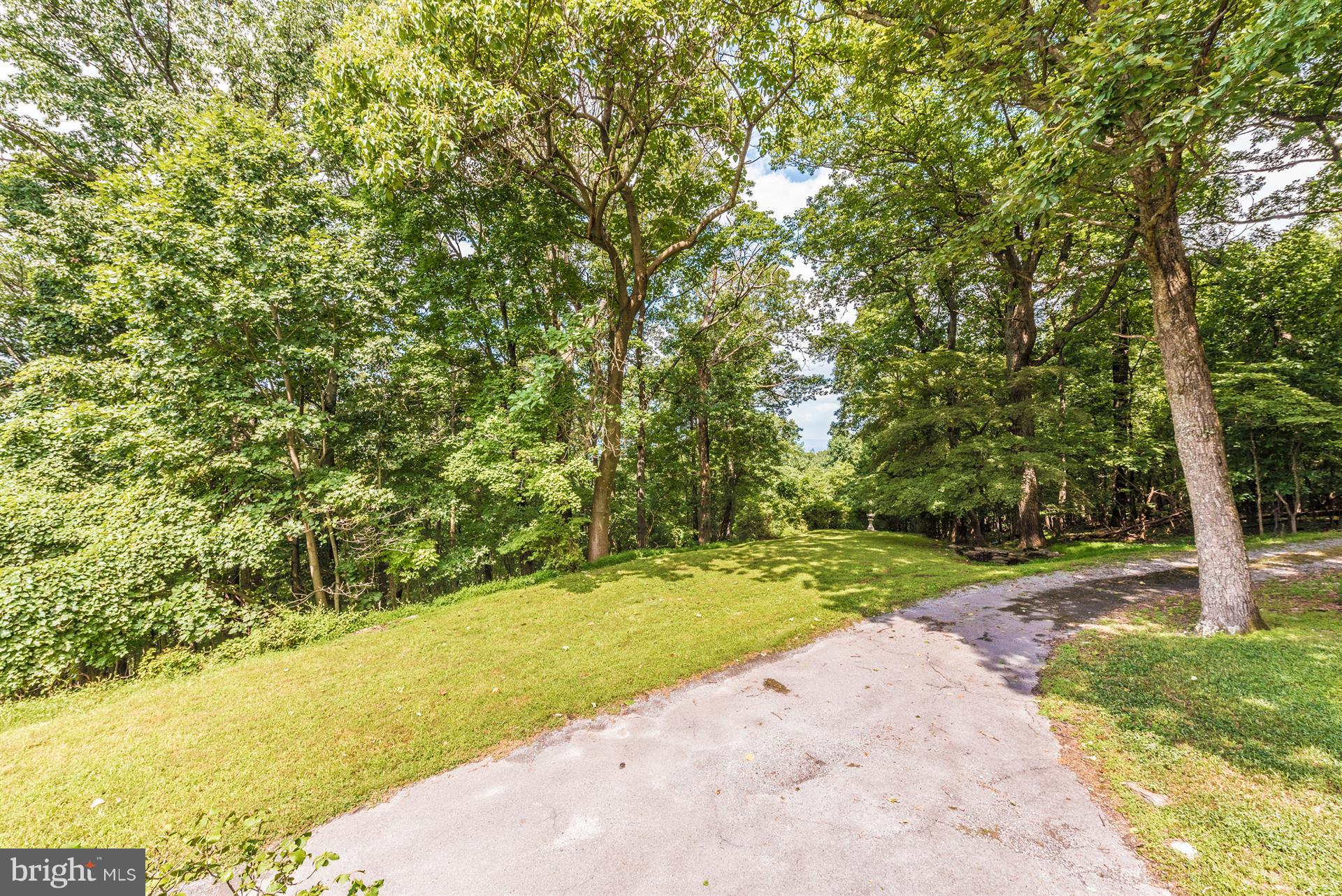 3455 Mar Lu Ridge Road Jefferson, MD 21755 - Photo 29 of 37 Exterior (General)