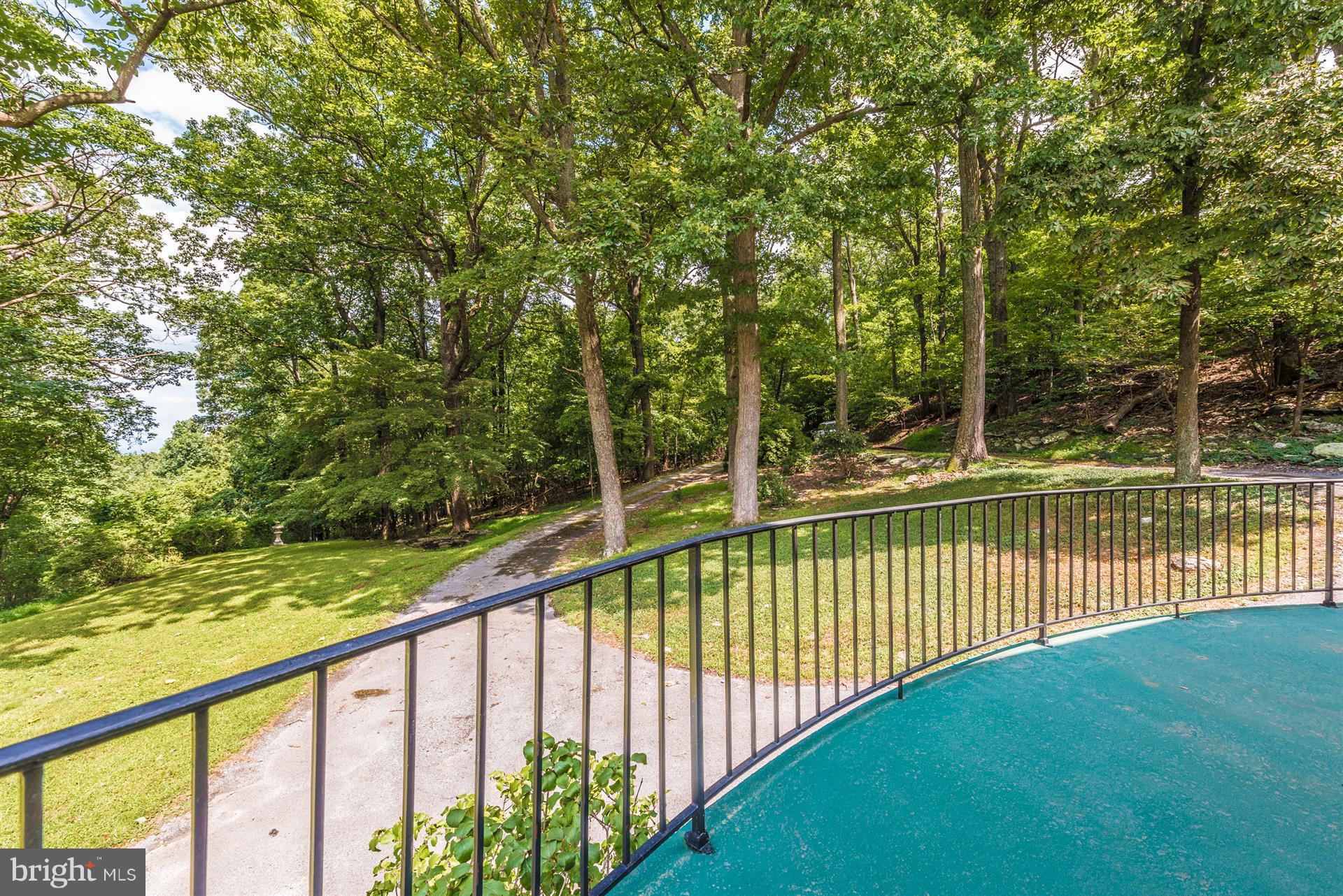 3455 Mar Lu Ridge Road Jefferson, MD 21755 - Photo 33 of 37 Exterior (Rear)