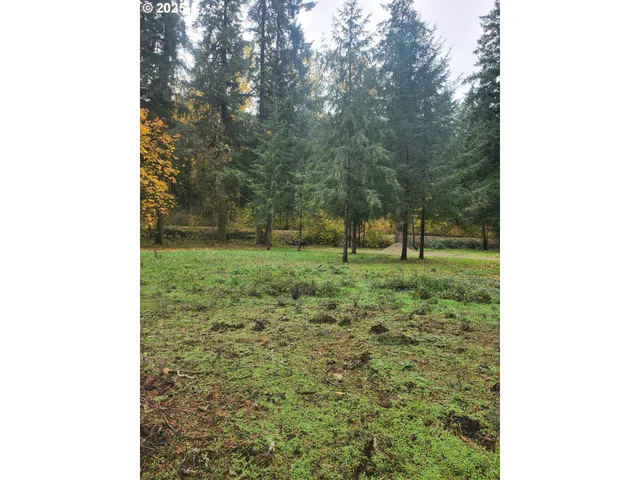 $410,000 | 17811 Northeast 259th Street, Battle Ground, WA 98604