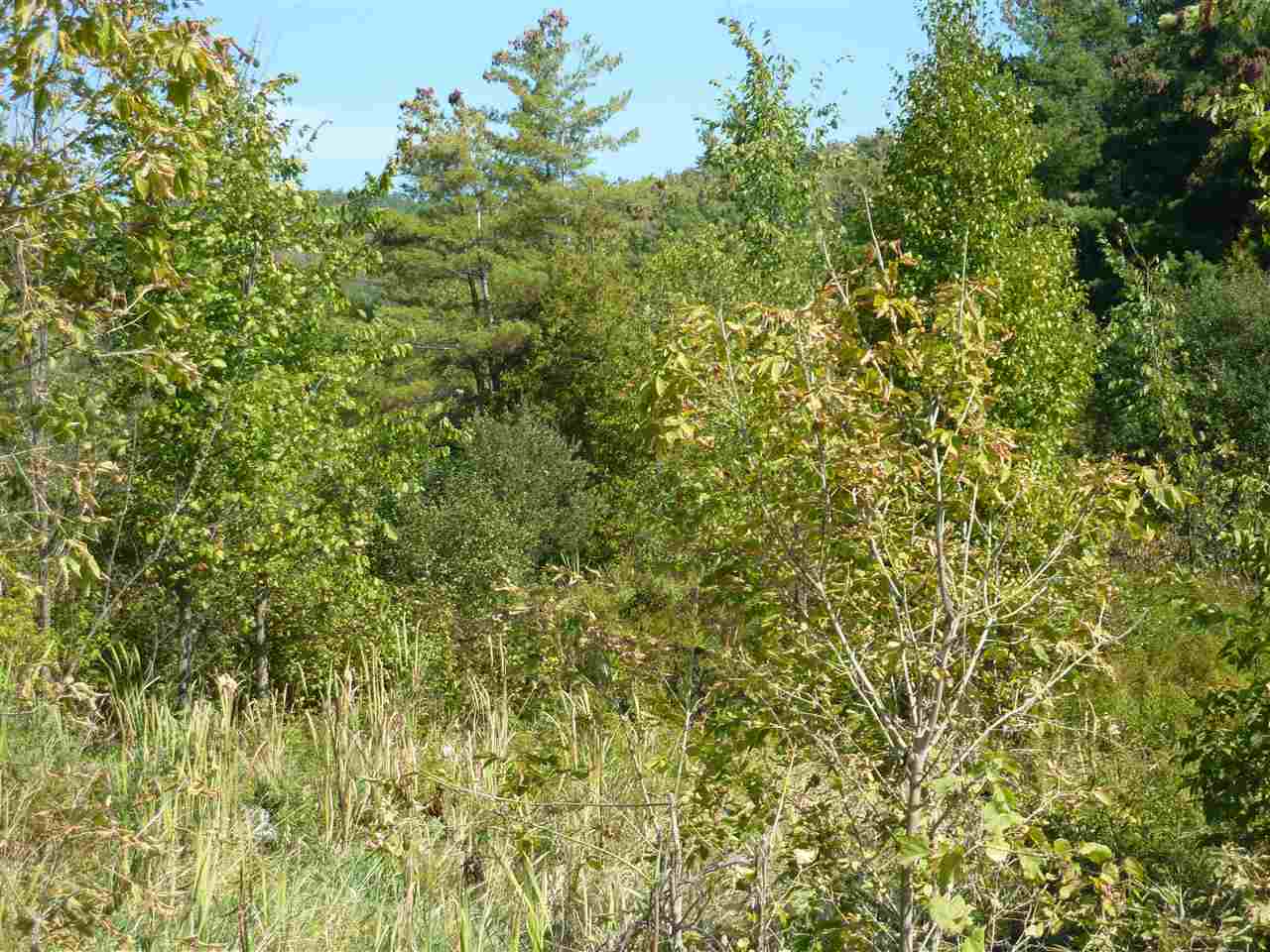 Lot 2 Rotax Road Hinesburg, VT 05461 - Photo 1 of 5 Gallery Image 1