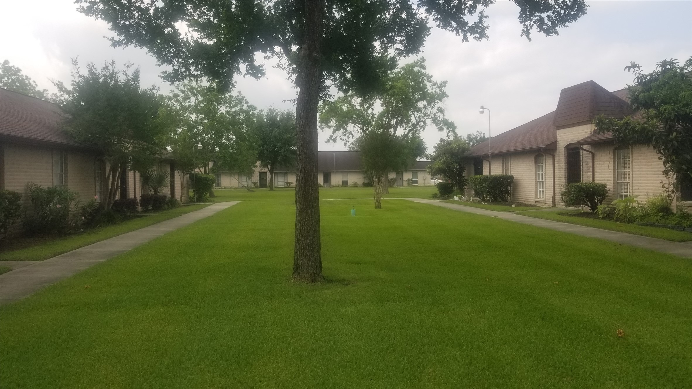 7267 Cook Road Houston, TX 77072 - Photo 2 of 10 a view of a park with large trees
