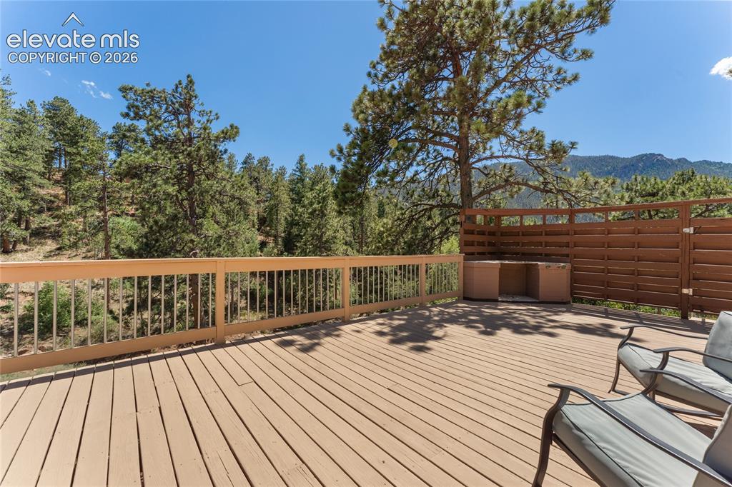 7755 Topeka Avenue Cascade, CO 80809 - Photo 32 of 38