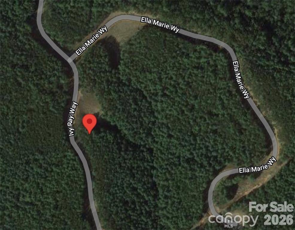 2377 Ivy Rays Way, Unit 56 Nebo, NC 28761 - Photo 2 of 7