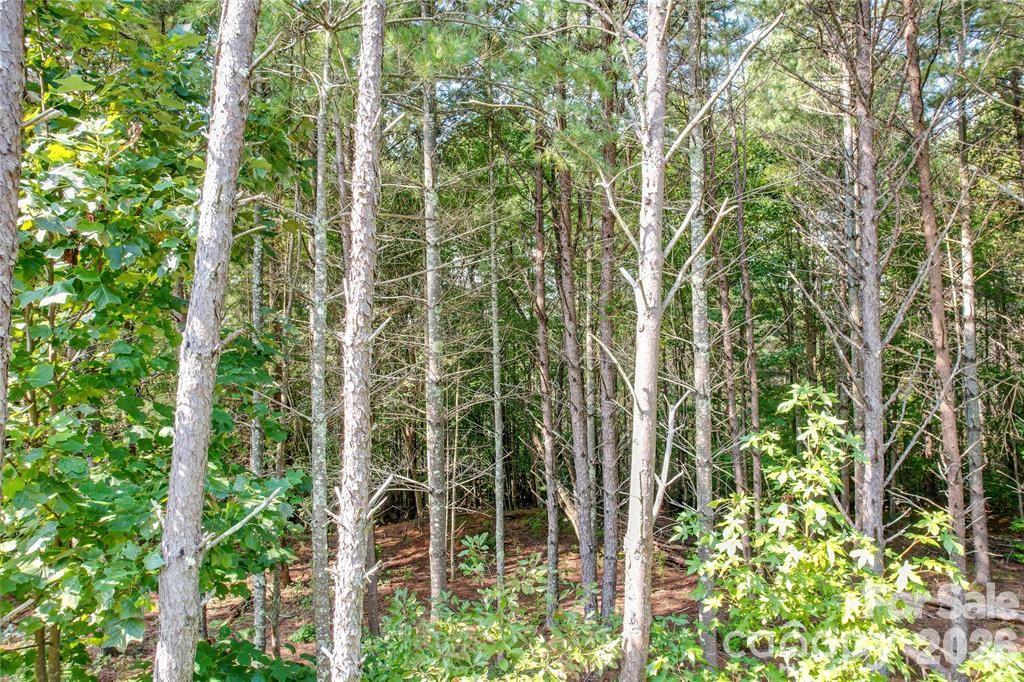 2377 Ivy Rays Way, Unit 56 Nebo, NC 28761 - Photo 3 of 7