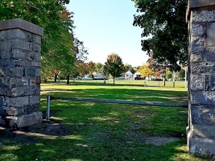 a view of a park with large trees