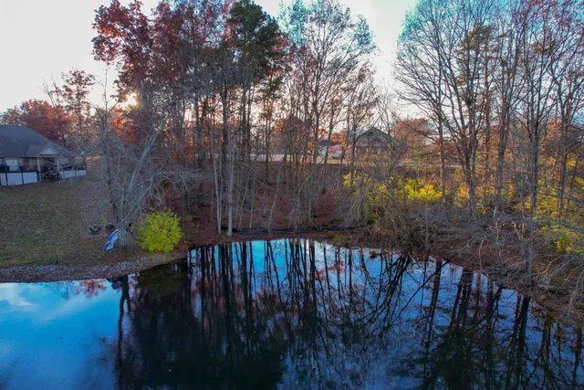 an aerial view of water body with boats and trees all around