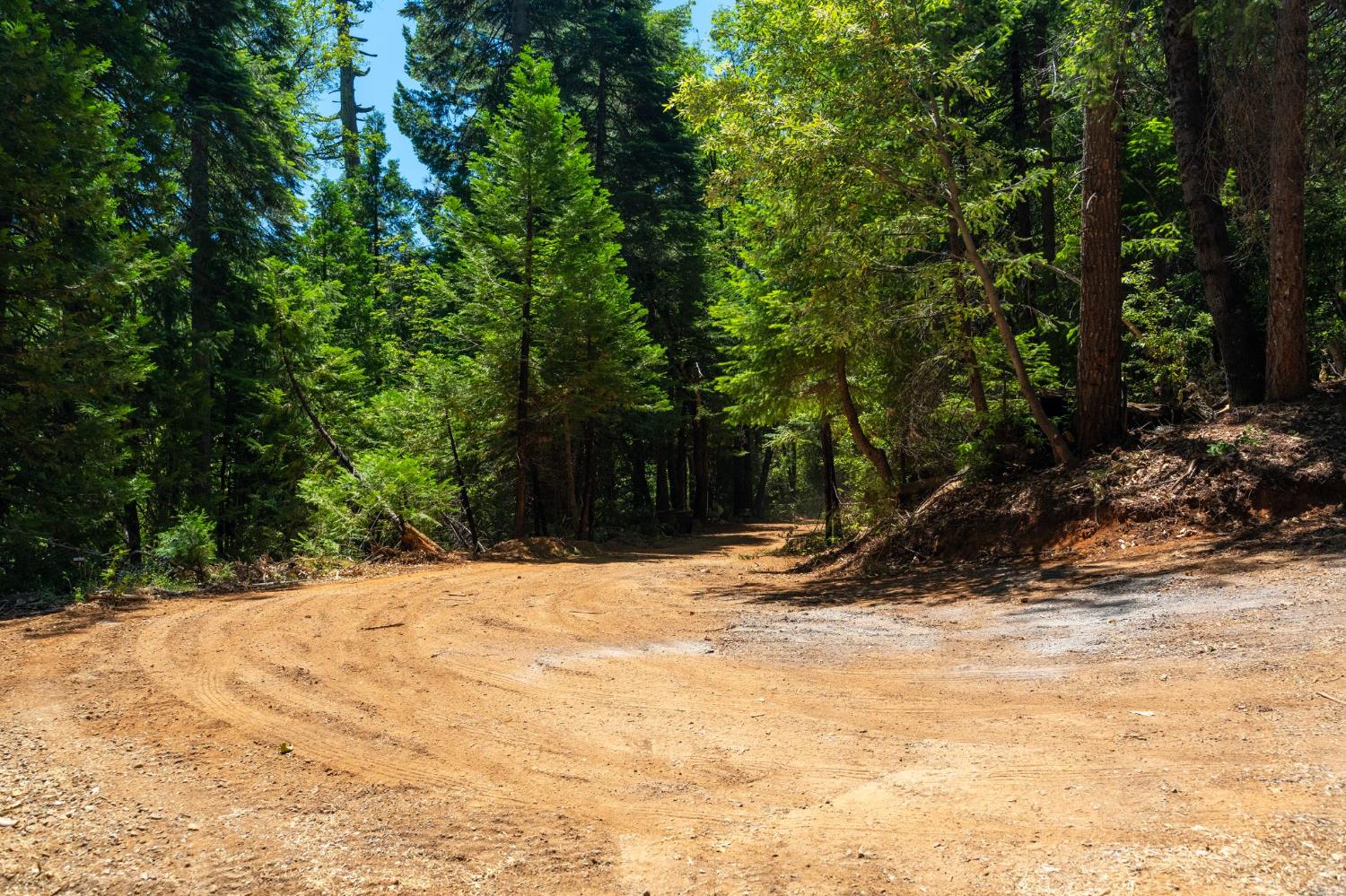 10075 White Fir Road Georgetown, CA 95634 - Photo 16 of 35
