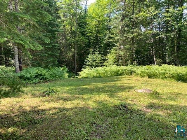 11919 Luna Lake Road Side Lake, MN 55781 - Photo 3 of 23