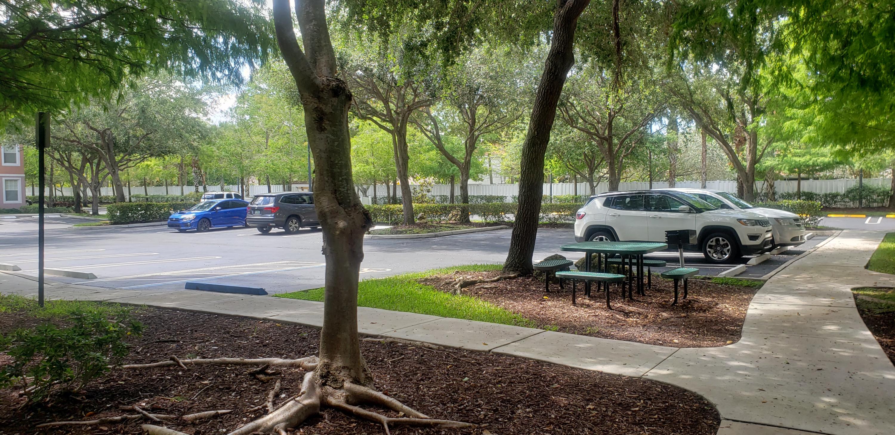 6818 West Sample Road, Unit 6818 Coral Springs, FL 33067 - Photo 12 of 19 20190614_110729