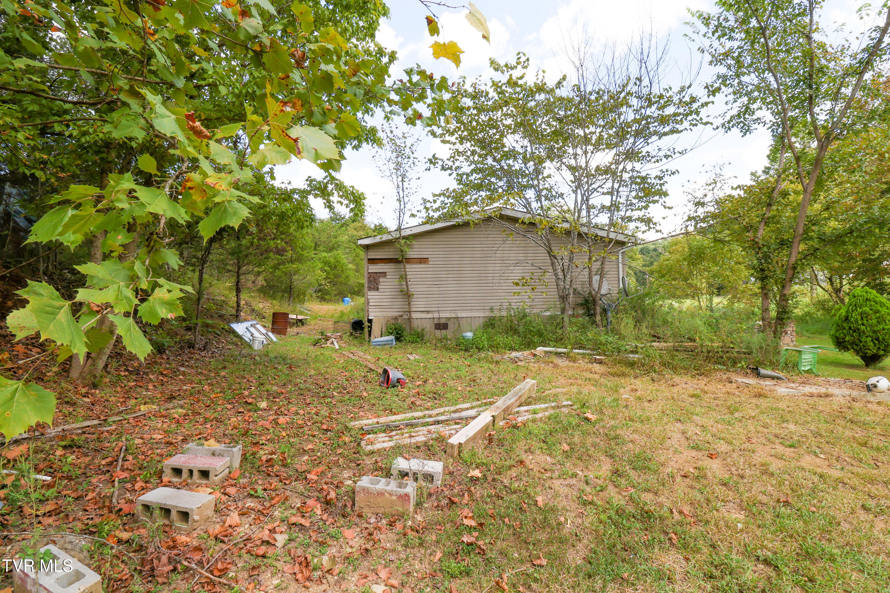174 Coates Road Bulls Gap, TN 37711 - Photo 19 of 37 AM0A5984_1