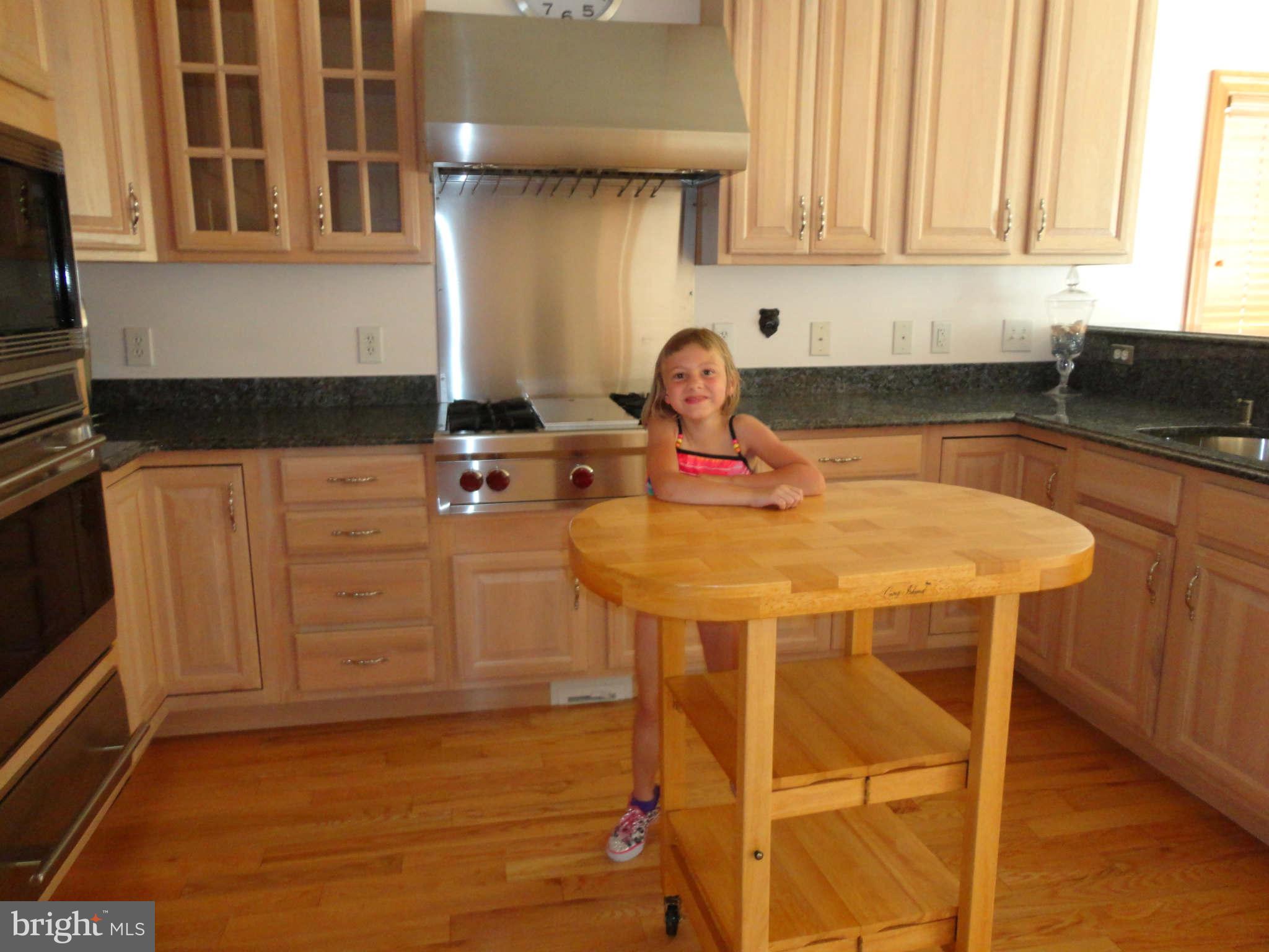 3920 New Section Road Baltimore, MD 21220 - Photo 22 of 28 Kitchen