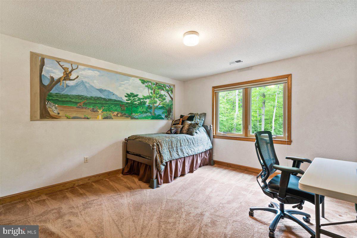 43534 Spinks Ferry Road Leesburg, VA 20176 - Photo 38 of 75 Every Window has views of nature