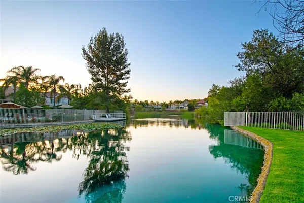 a body of water with a tree in the background