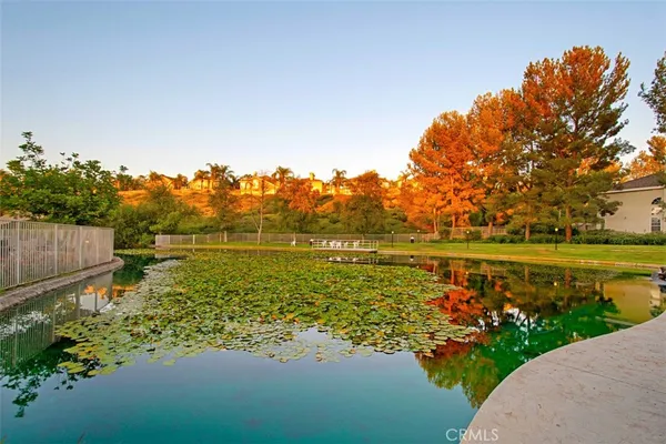 a view of a lake with a garden