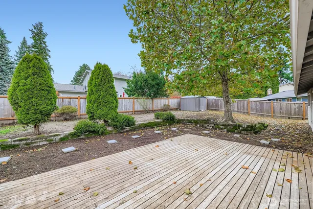 a view of a backyard