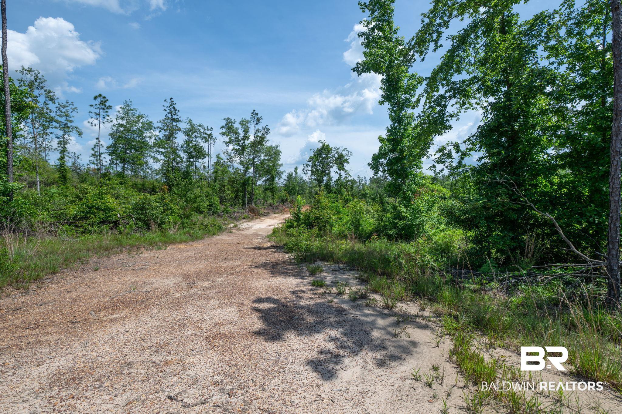 0 Joe Hall Road Bay Minette, AL 36507 - Photo 10 of 13