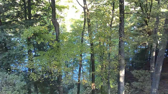 $335,000 | 4468 Teal Lane, Newaygo, MI 49337