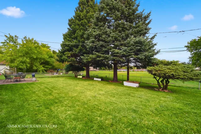 a view of a tree in a park