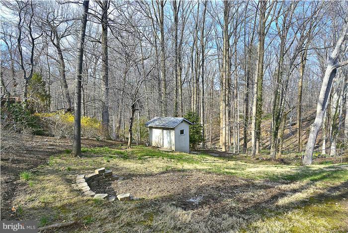 10804 Margate Road Silver Spring, MD 20901 - Photo 29 of 30 a view of a backyard with large trees