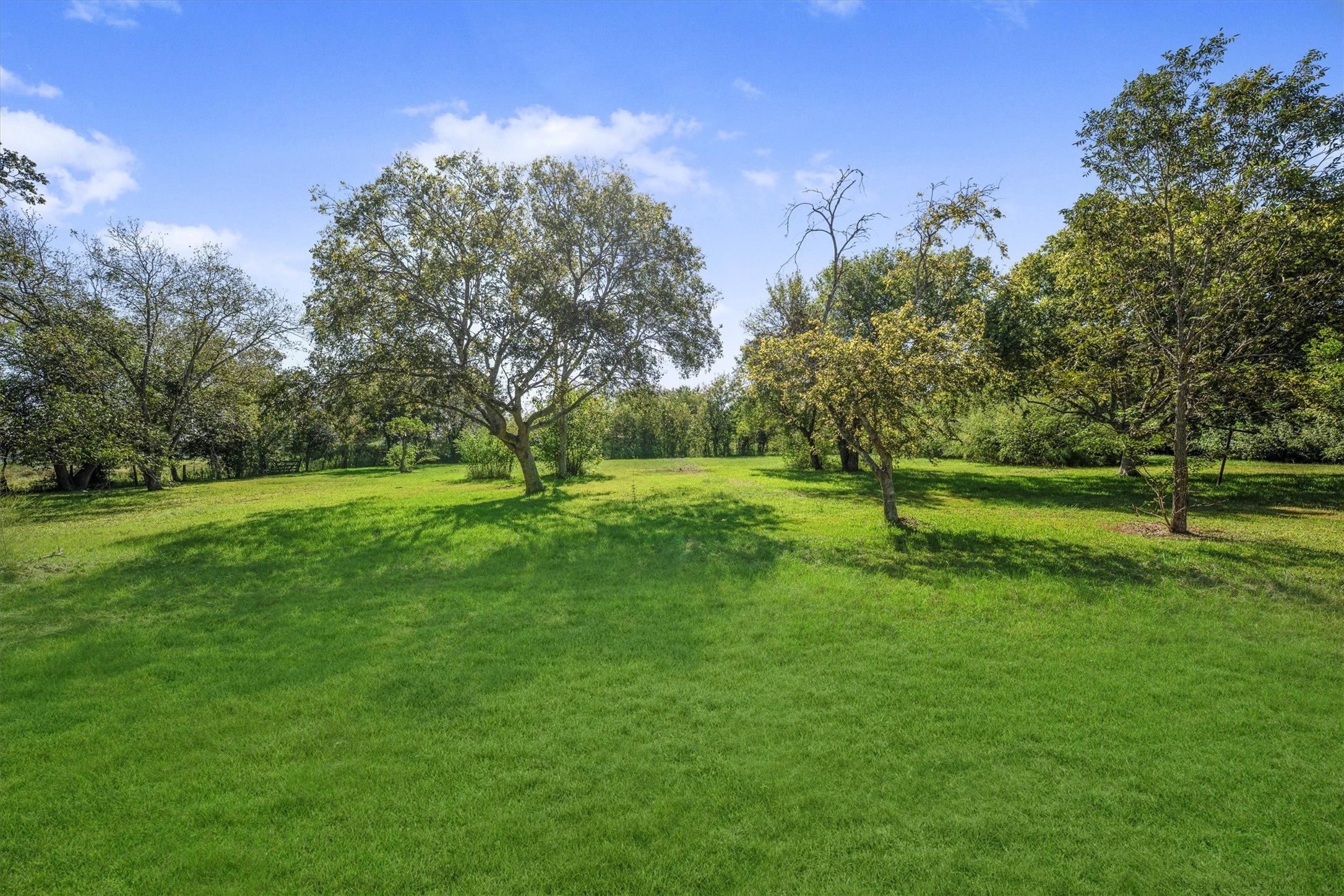 18111 Roy Long Road Pearland, TX 77584 - Photo 33 of 36 Surrounded by mature trees and open skies, this property captures the beauty and calm of country living.