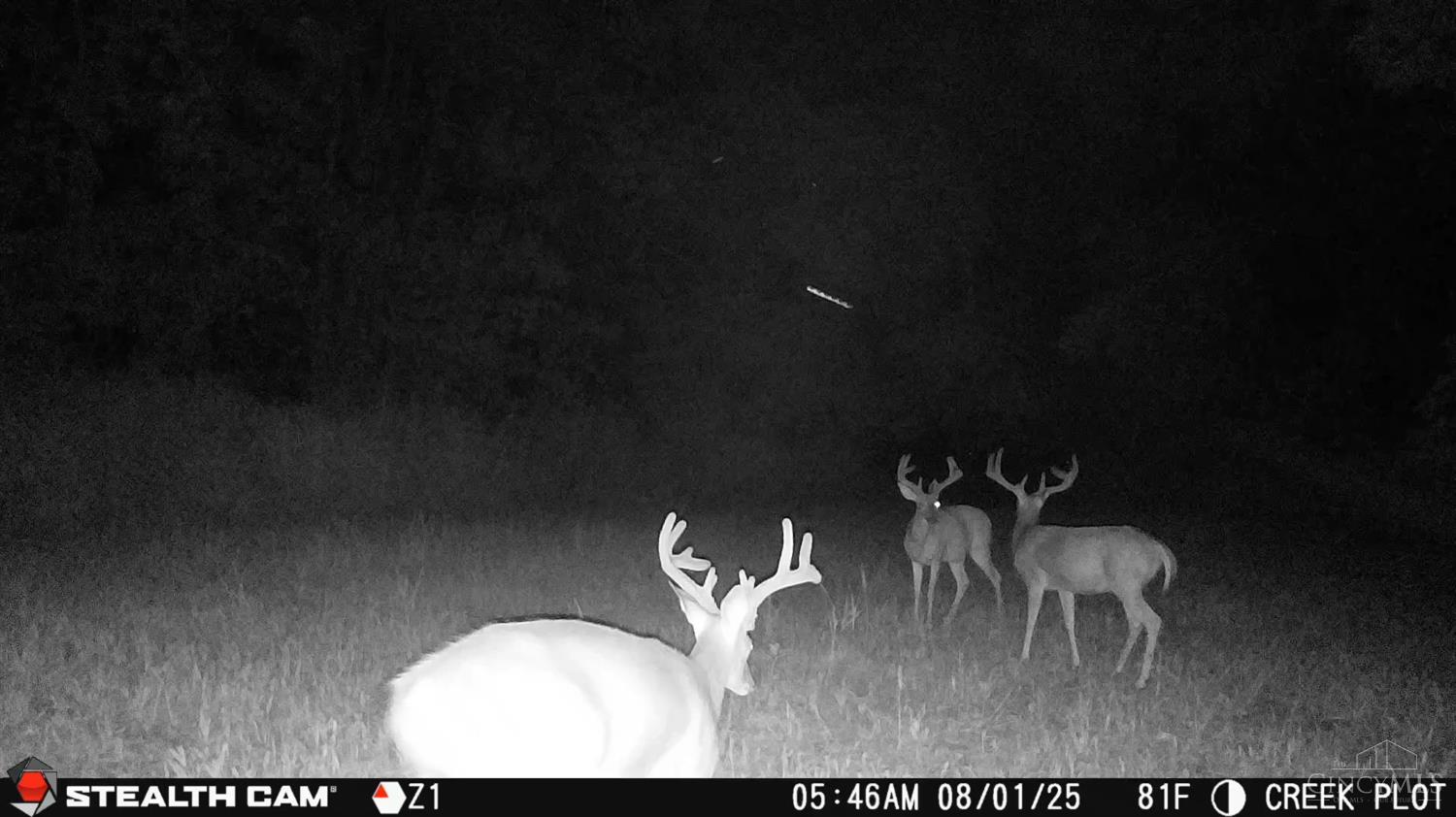 0 Inlow- Tract 2 Avenue Peebles, OH 45660 - Photo 19 of 24