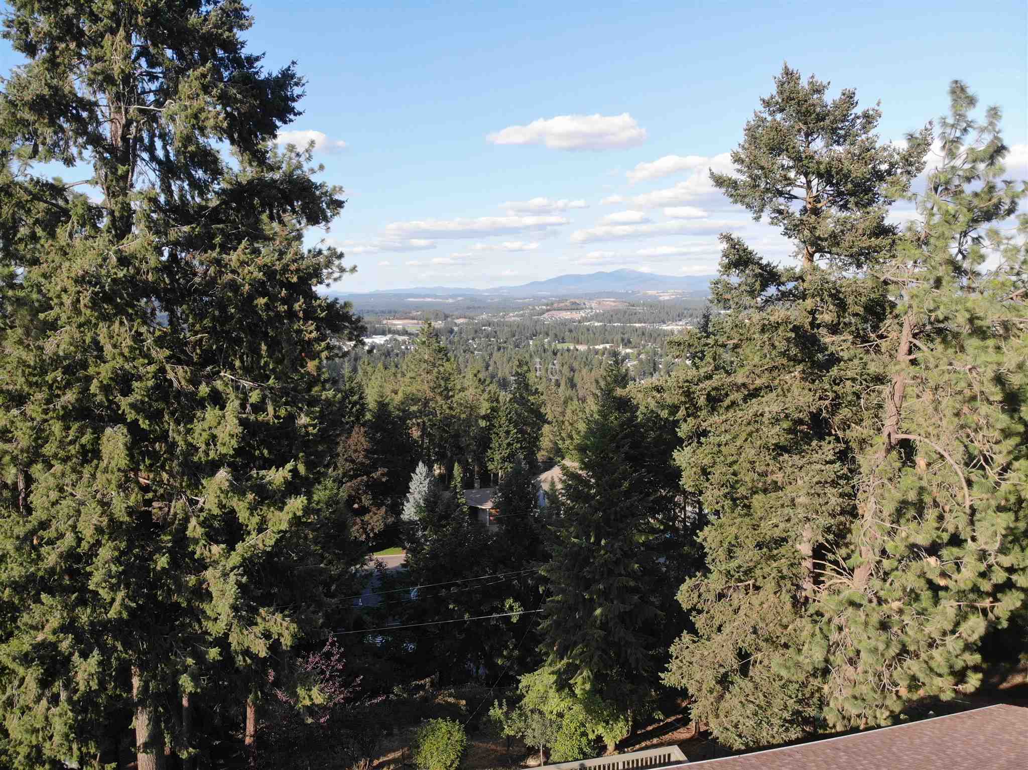 1428 West Toni Rae Drive Spokane, WA 99218 - Photo 2 of 27 Gallery Image 2