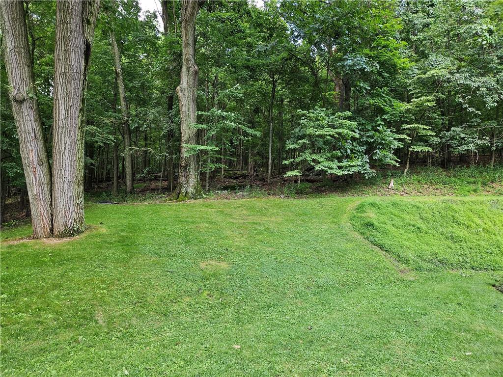 207 College Lodge Road Indiana, PA 15701 - Photo 8 of 36 a backyard of a house with lots of green space and fountain
