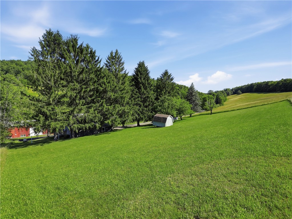 1024 Davis Road Lindley, NY 14830 - Photo 32 of 35