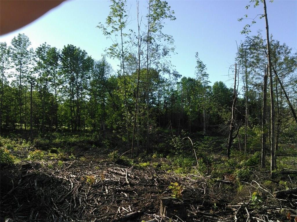 55-1 Beech Grove Road Corinth, ME 04427 - Photo 4 of 5 Photo